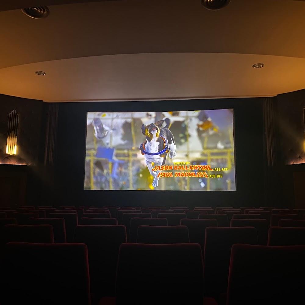 Empty movie theater with a screen showing a dog jumping.